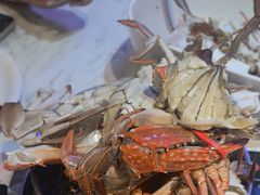 -半岛听涛蒸汽海鲜自助(K11店)