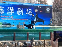 -曹州牡丹园
