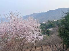 -香山公园