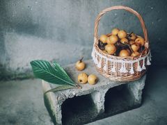 -塘栖枇杷特色园区