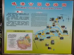 -晓港公园