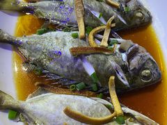 -半岛私房菜(梅林店)