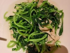 -老吉堂上海本帮菜(工体店)
