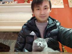 -猫色咖啡·猫咖