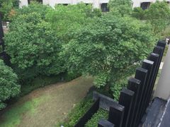 -上海崇明金茂凯悦酒店