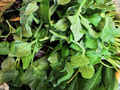 -慢丽江·云南野生菌土鸡锅(付家庄店)