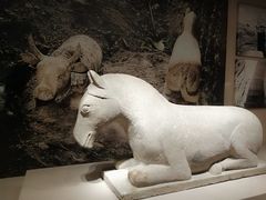 -宁夏博物馆