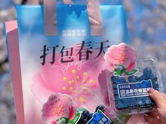 -堤角公园