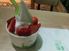 -Salud撒露欧洲冻酸奶(蓝色港湾店)