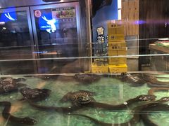 -洪湘记川湘·甲鱼馆(四海凯悦美食广场店)