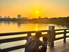 -海珠湖公园
