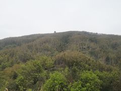 -梅岭月亮湾山体公园