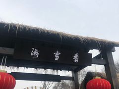 -香雪海