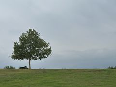 -钟山体育运动公园