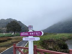 -广州市石门国家森林公园