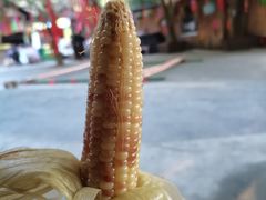 -西双版纳原始森林公园