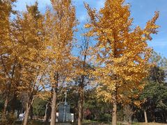 -宝界山林公园
