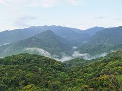 -广州市石门国家森林公园