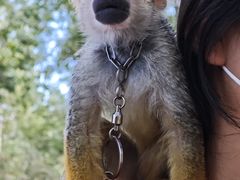 -水上乐园·欢乐世界