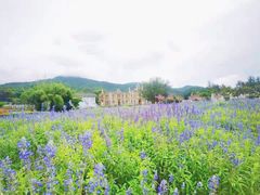 -玫瑰海岸文化旅游度假区