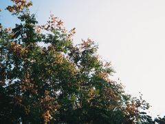 -天鹅湖体育公园