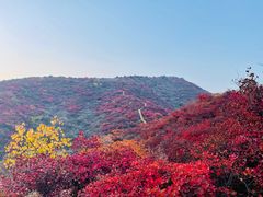 -水峪民俗村