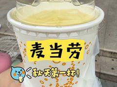 -麦当劳(金平路站店)