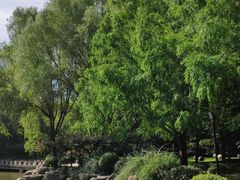 -唐城墙遗址公园