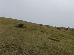 -大姆山草场