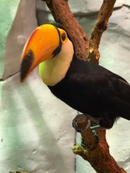 -Zoolung Zoolung动物主题公园(海信广场店)