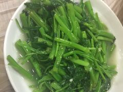 -老品芳