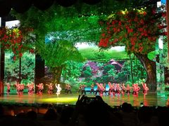 -澜沧江湄公河之夜歌舞篝火晚会