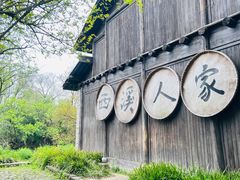 -西溪国家湿地公园