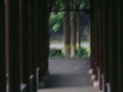 -泰州凤城河风景区-泰山公园