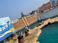 -秦皇岛乐岛海洋王国