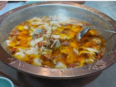 -雲蜀龙阁·金牌水煮鱼(方庄店)