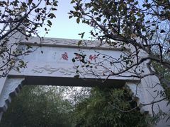 -竹子庵公园