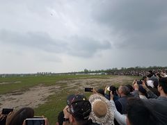 -盐城丹顶鹤湿地生态旅游区