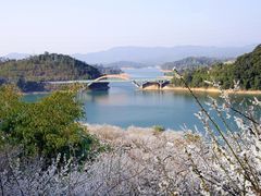 -广州市流溪河国家森林公园