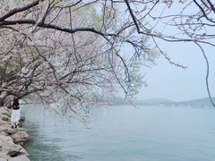 -颐和园