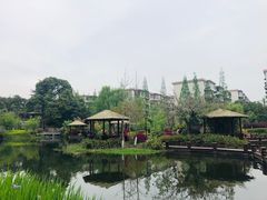 -成飞公园