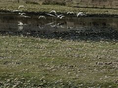 -成都南湖公园