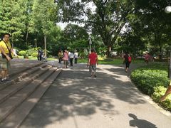 景点-晓港公园