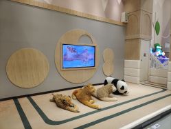 -MELAND亲子乐园•派对•研学(南宁万象城店)