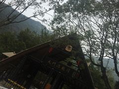 -天门沟九州驿站树上汤泉