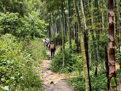 -东明山森林公园