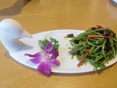 -品味泸沽湖•民族特色菜(大落水店)