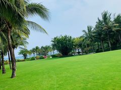 -海棠湾洲际-涛·海底餐厅·美人鱼·自助餐·海底隧道