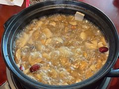 -蘑统田下·野生菌火锅