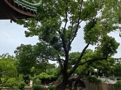 -无锡蠡湖国家湿地公园-蠡园